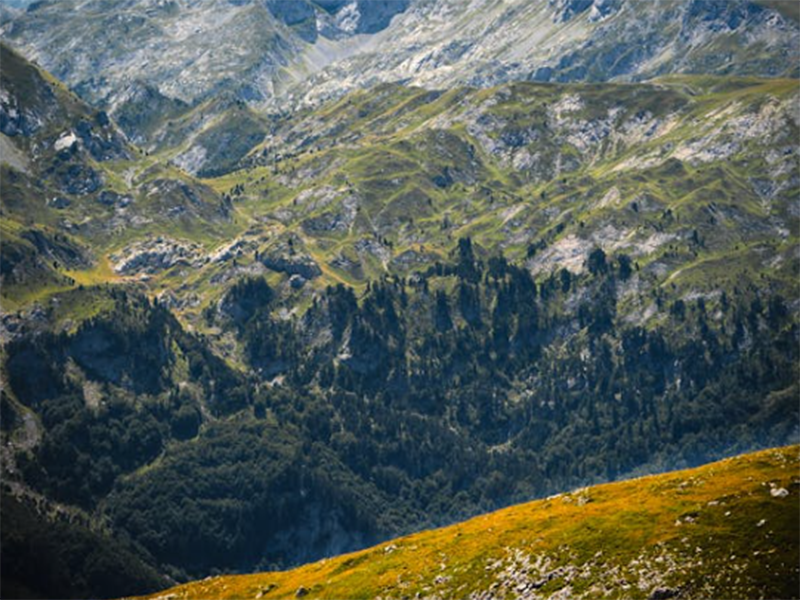 測土配方施肥儀好用嗎（測土配方施肥儀使用步驟）